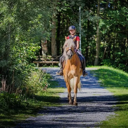 Walserhaus * Brand (Vorarlberg)